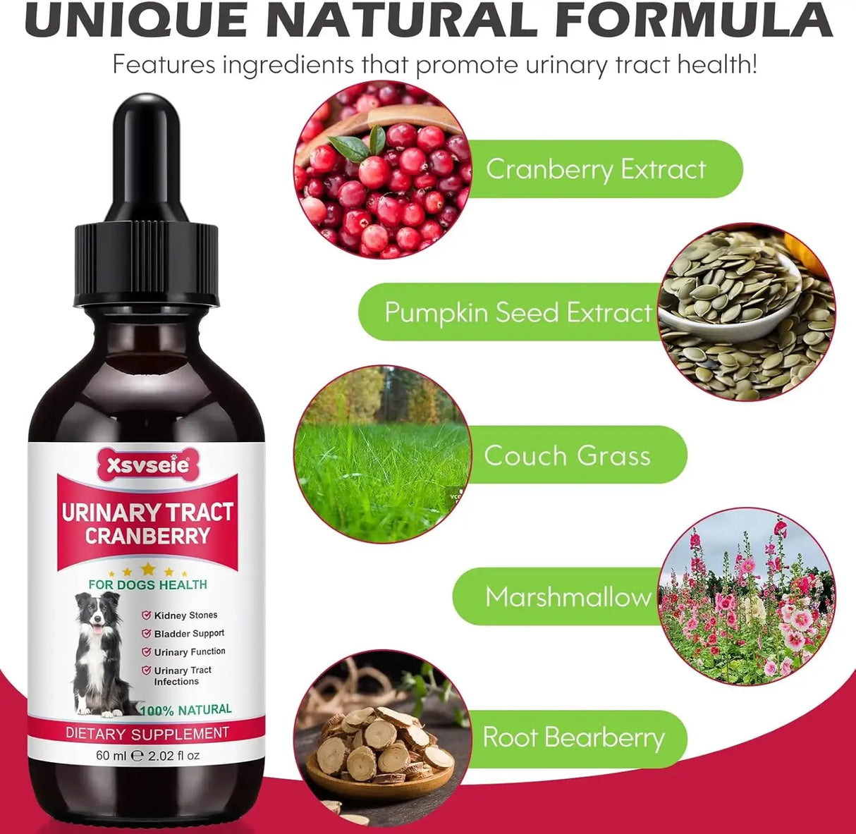 XSVSEIE - Xsvseie Urinary Tract Drops for Dogs 60Ml. - The Red Vitamin MX - Salud De Tracto Urinario Para Perros - {{ shop.shopifyCountryName }}