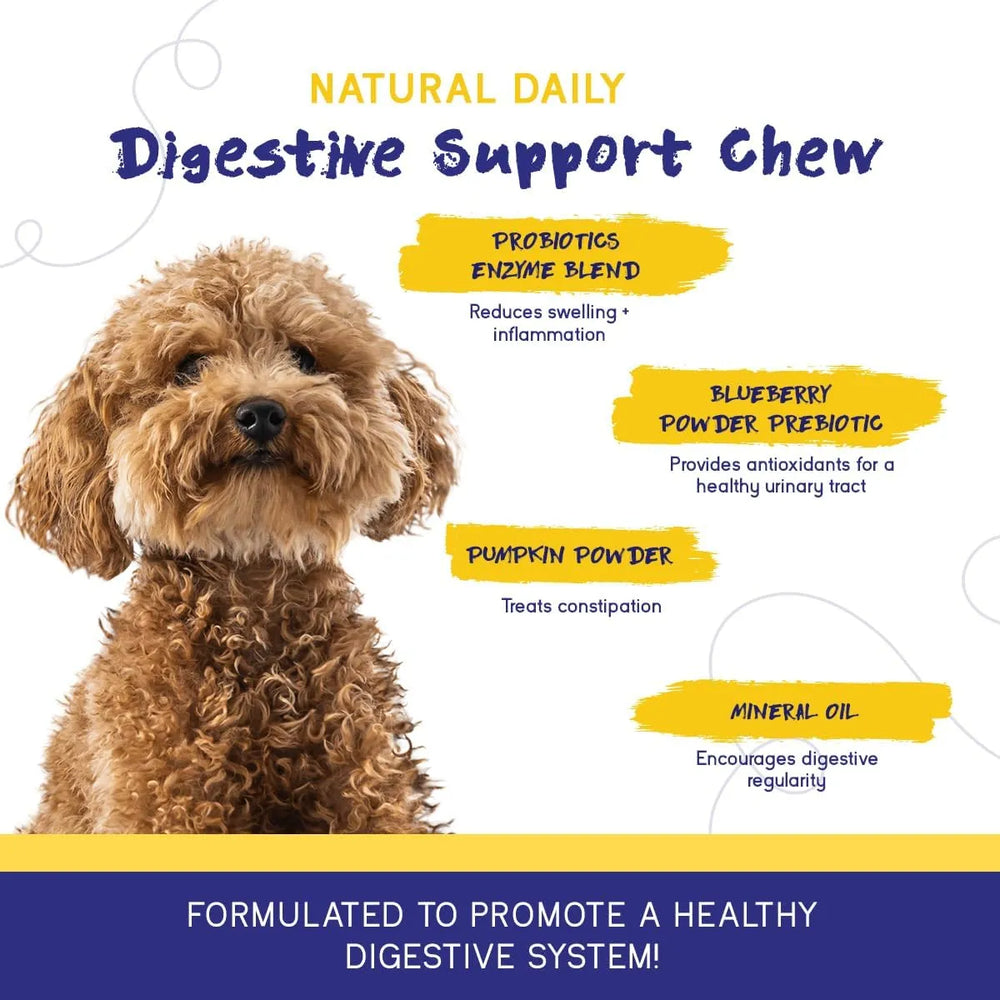 PUPGRADE - PupGrade Digestive Support Chews for Dogs Prebiotic and Probiotic 60 Masticables - The Red Vitamin MX - Probióticos Para Perros - {{ shop.shopifyCountryName }}