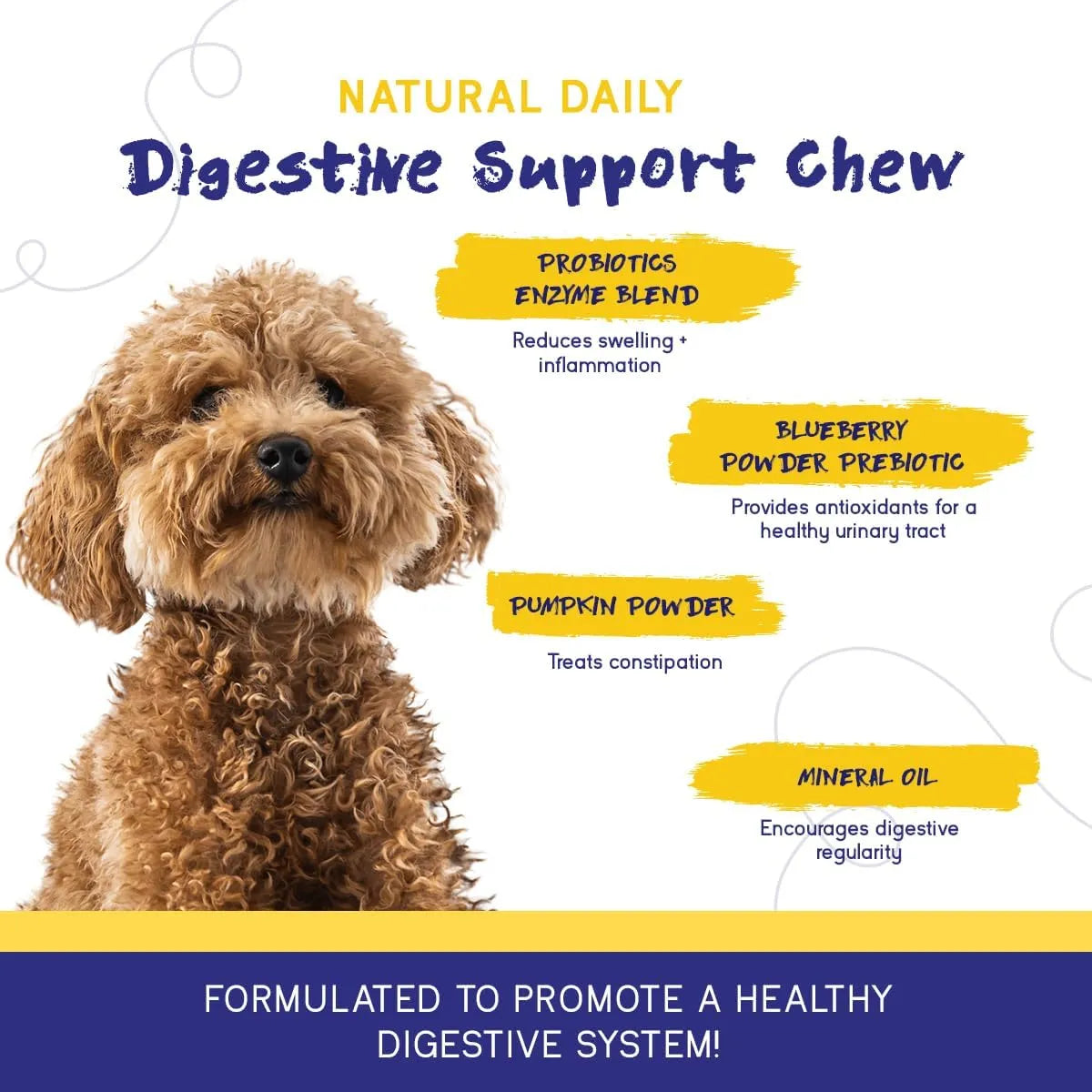 PUPGRADE - PupGrade Digestive Support Chews for Dogs Prebiotic and Probiotic 60 Masticables - The Red Vitamin MX - Probióticos Para Perros - {{ shop.shopifyCountryName }}