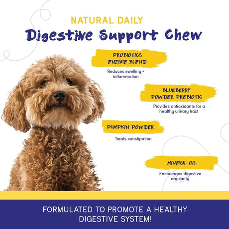PUPGRADE - PupGrade Digestive Support Chews for Dogs Prebiotic and Probiotic 60 Masticables - The Red Vitamin MX - Probióticos Para Perros - {{ shop.shopifyCountryName }}