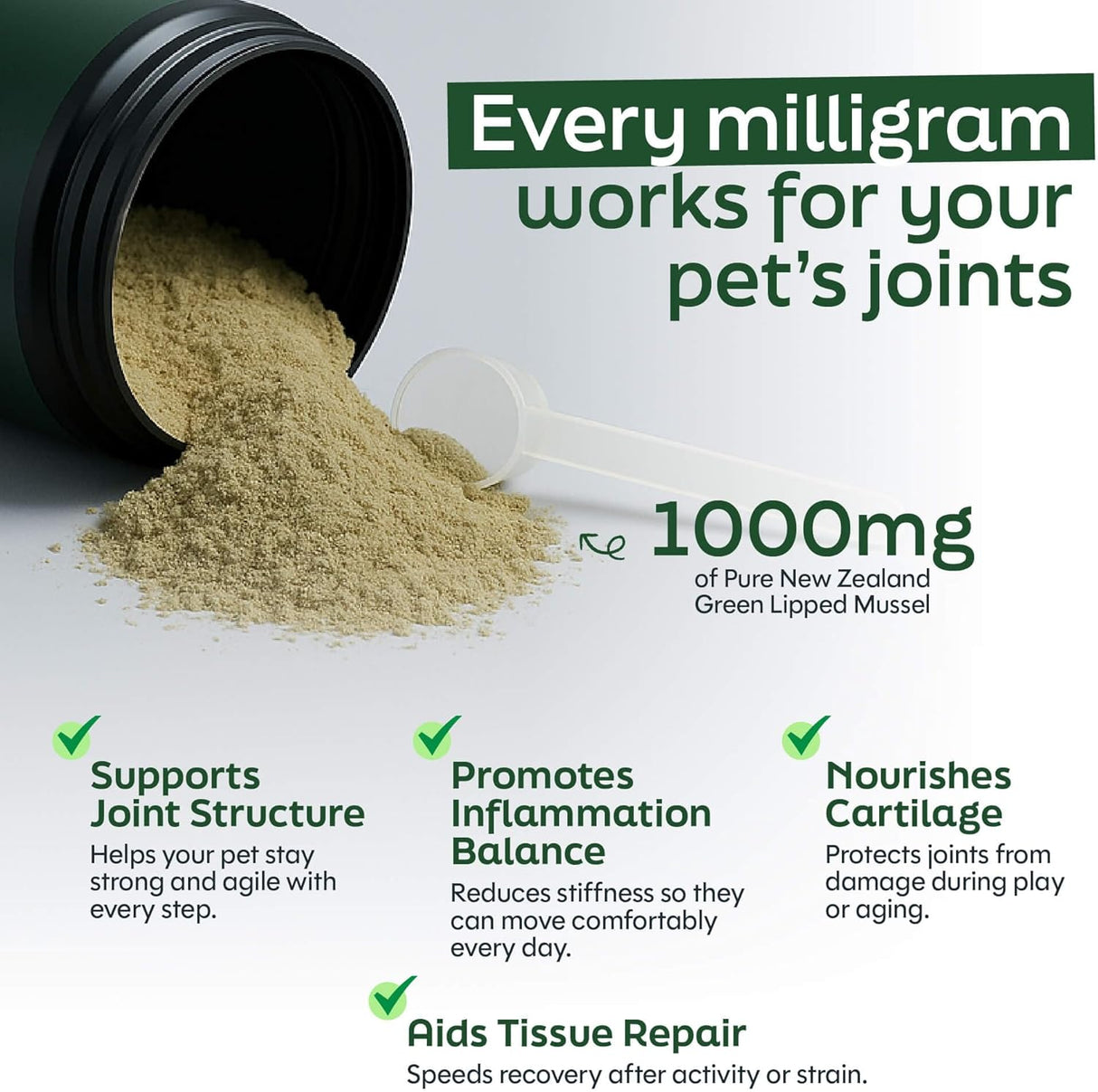 DAYBREAK NUTRITION - Daybreak Nutrition Pure Green Lipped Mussel Powder for Dogs and Cats 150Gr. - The Red Vitamin MX - Cuidado De Cadera Y Articulaciones Para Perros - {{ shop.shopifyCountryName }}