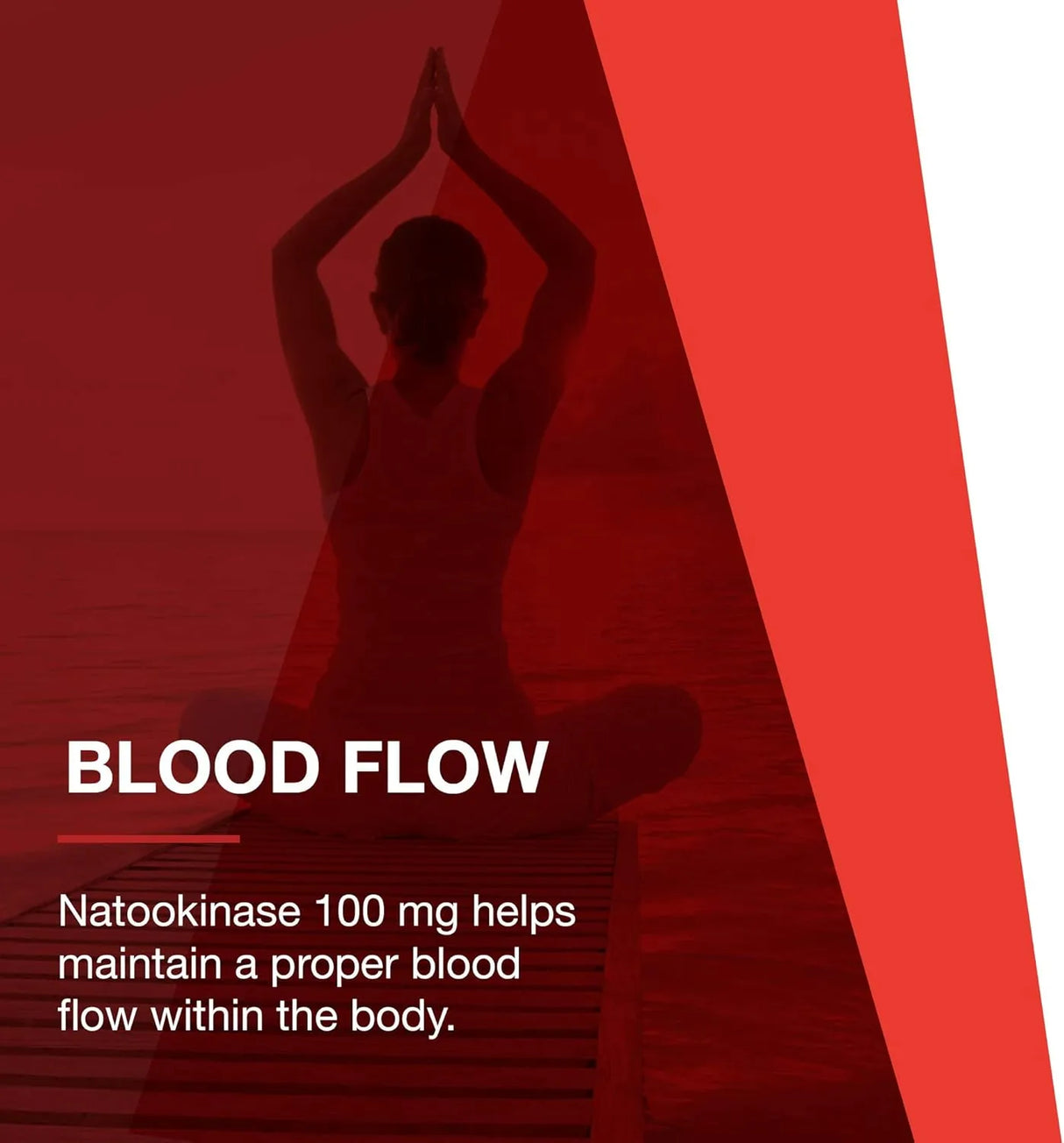 PROTOCOL FOR LIFE BALANCE - Protocol Nattokinase 100Mg. 60 Capsulas - The Red Vitamin MX - Suplementos Alimenticios - {{ shop.shopifyCountryName }}