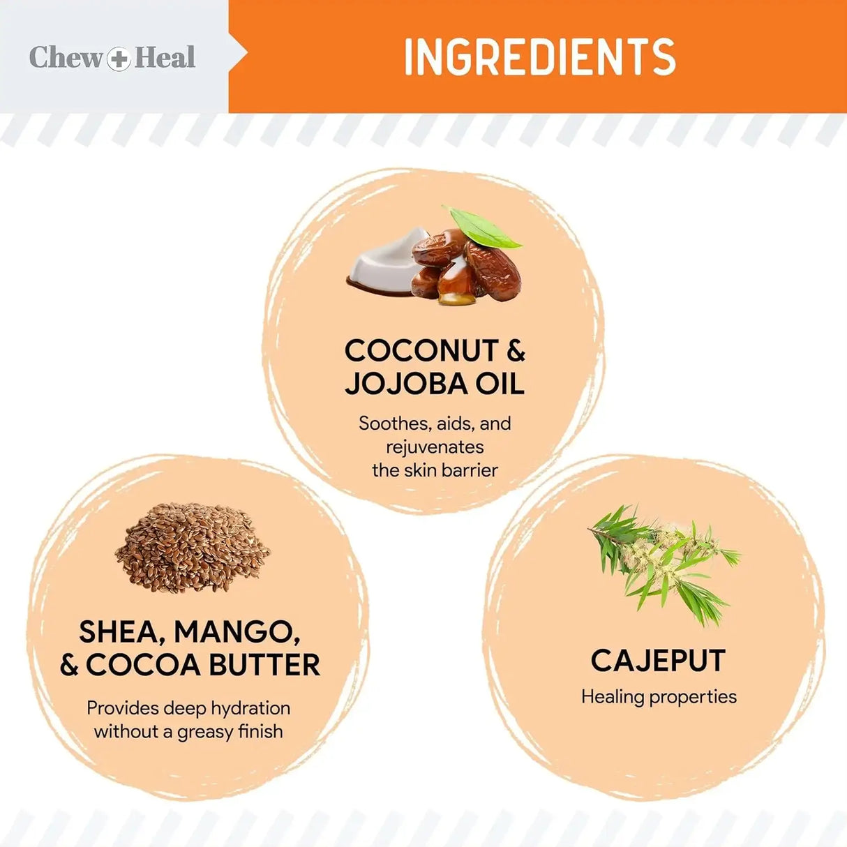 CHEW + HEAL - Chew + Heal Labs Dog Paw Balm 2 Oz. - The Red Vitamin MX - Remedios Para La Picazón De Perros - {{ shop.shopifyCountryName }}
