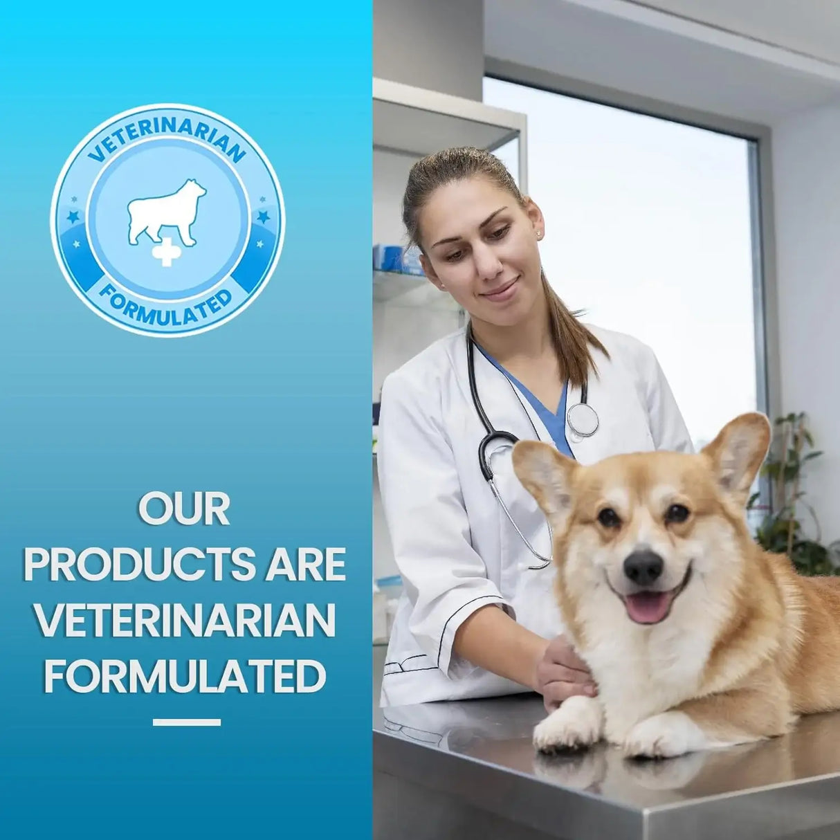 REPLENISH - Replenish Urinary Tract Chews for Dogs 60 Masticables - The Red Vitamin MX - Salud De Tracto Urinario Para Perros - {{ shop.shopifyCountryName }}