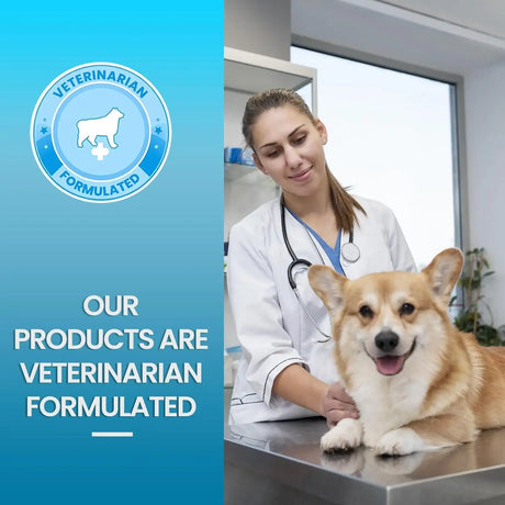 REPLENISH - Replenish Urinary Tract Chews for Dogs 60 Masticables - The Red Vitamin MX - Salud De Tracto Urinario Para Perros - {{ shop.shopifyCountryName }}