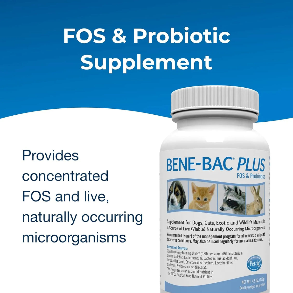 PETAG - PetAg Bene-Bac Plus FOS & Probiotics 127Gr. - The Red Vitamin MX - Probióticos Para Perros - {{ shop.shopifyCountryName }}