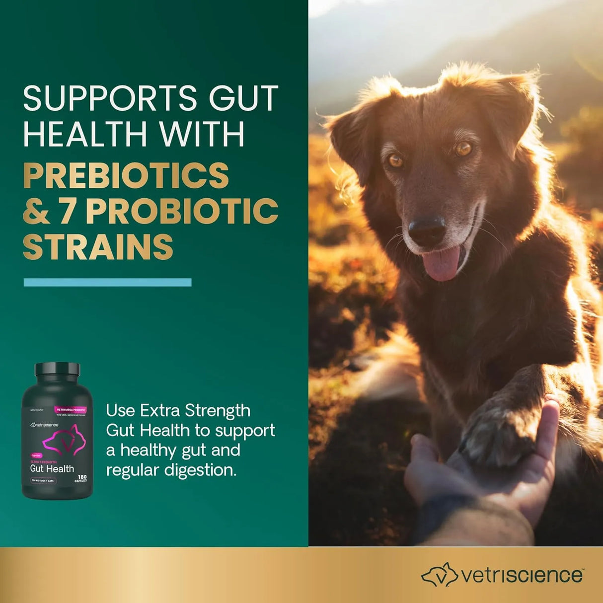 VETRISCIENCE - VetriScience Extra Strength Gut Health Probiotic & Prebiotic 180 Capsulas - The Red Vitamin MX - Probióticos Para Perros - {{ shop.shopifyCountryName }}