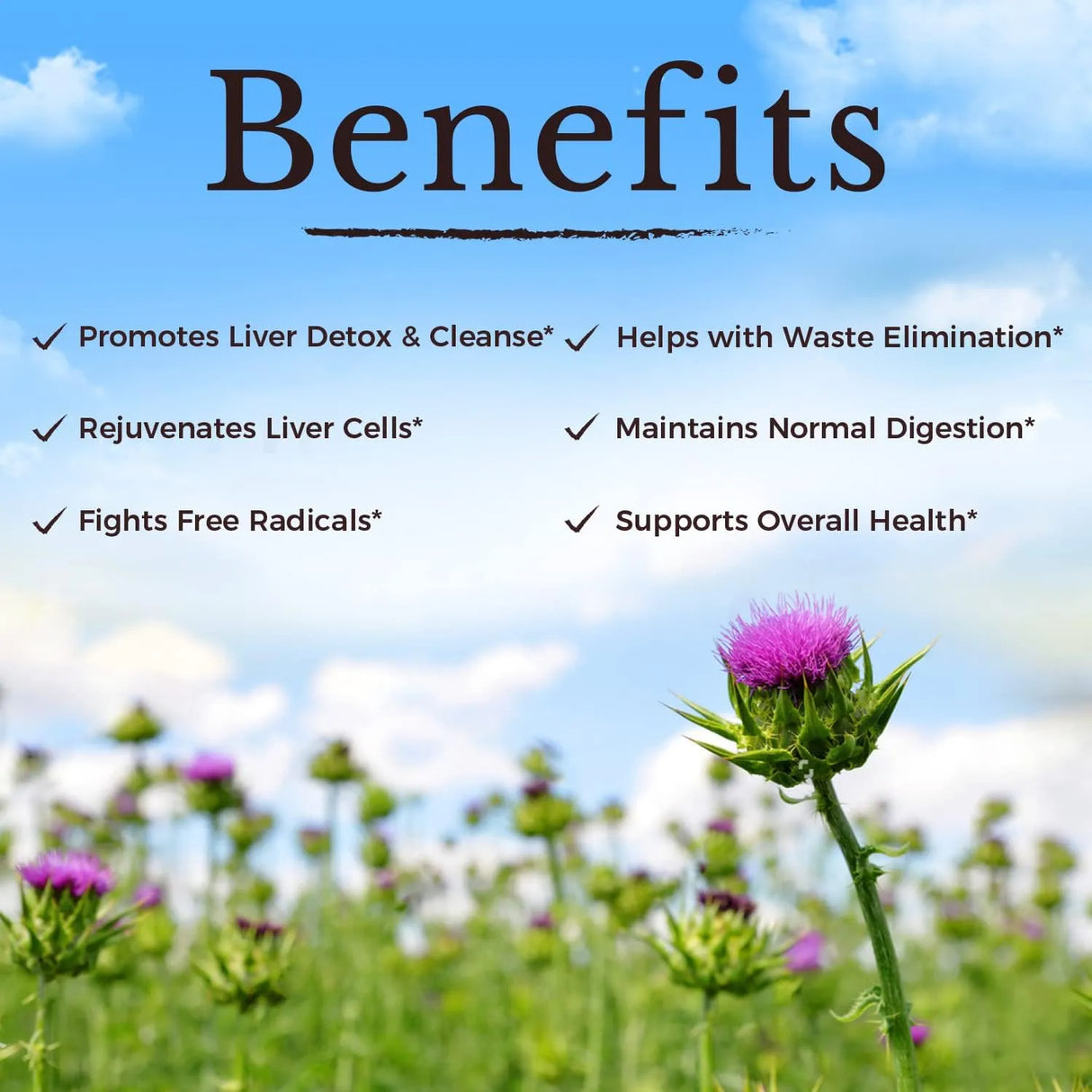 VITALITOWN - Vitalitown Organic Milk Thistle 600Mg. 120 Capsulas - The Red Vitamin MX - Suplementos Alimenticios - {{ shop.shopifyCountryName }}