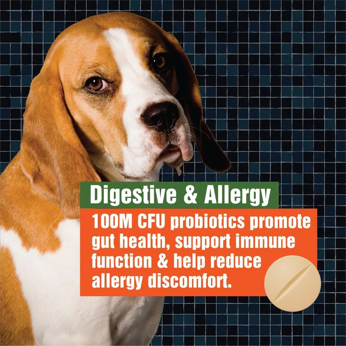 PAWS A DAY - Paws A Day Army Soldier Owned Dog Probiotics 60 Masticables 3 Pack - The Red Vitamin MX - Probióticos Para Perros - {{ shop.shopifyCountryName }}