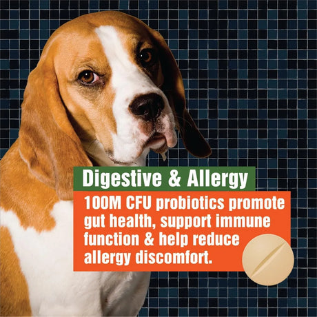 PAWS A DAY - Paws A Day Army Soldier Owned Dog Probiotics 60 Masticables 3 Pack - The Red Vitamin MX - Probióticos Para Perros - {{ shop.shopifyCountryName }}