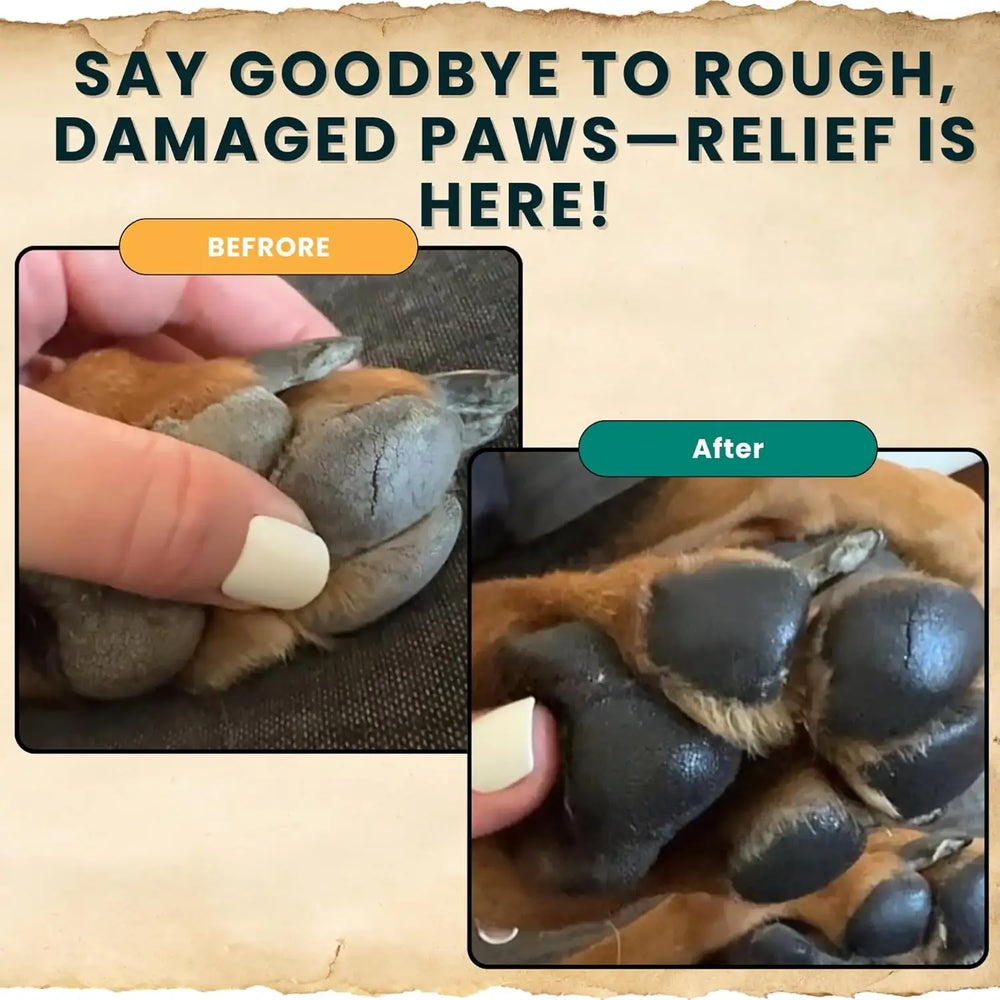 TRAIL HOUND - Trail Hound Dog Paw Balm 3 Oz. - The Red Vitamin MX - Remedios Para La Picazón De Perros - {{ shop.shopifyCountryName }}