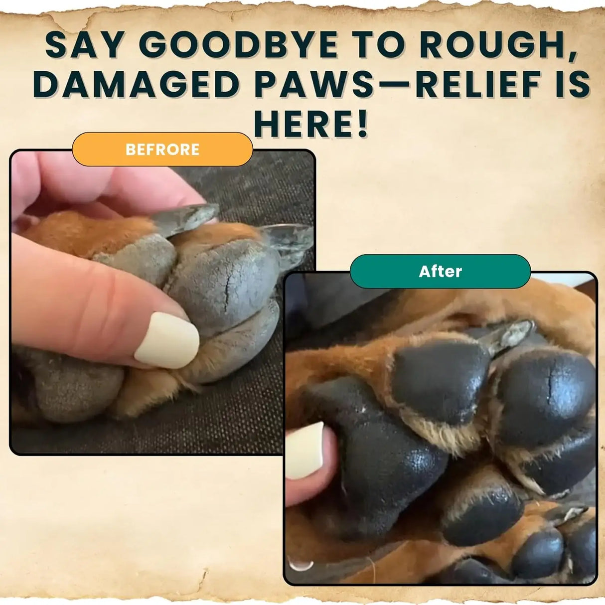 TRAIL HOUND - Trail Hound Dog Paw Balm 3 Oz. - The Red Vitamin MX - Remedios Para La Picazón De Perros - {{ shop.shopifyCountryName }}