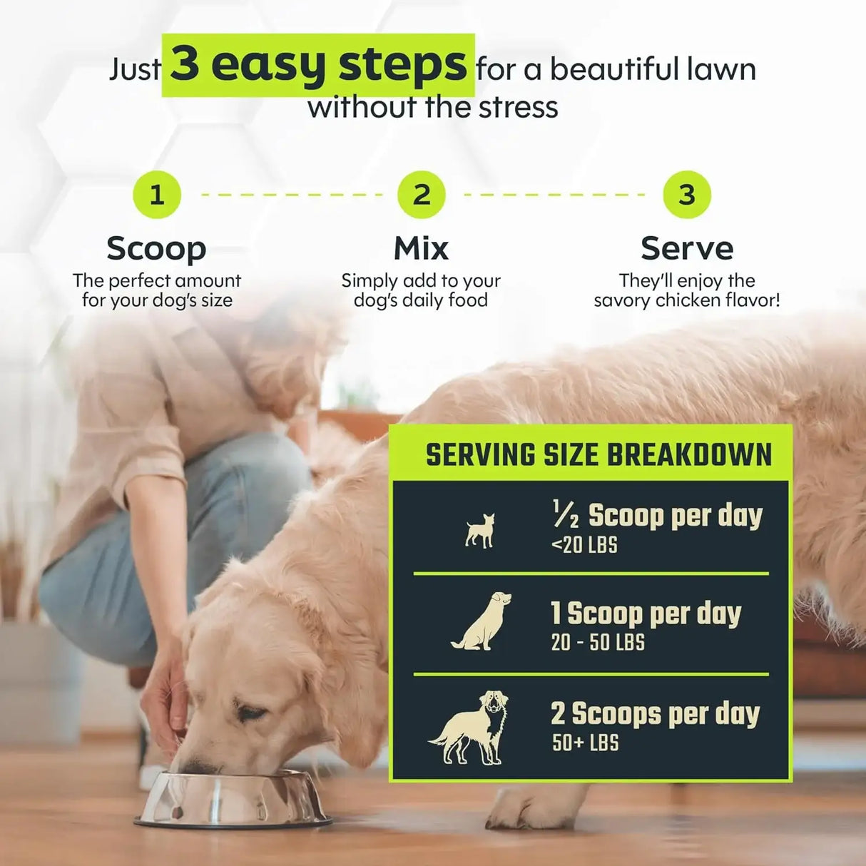 DAYBREAK NUTRITION - Daybreak Nutrition Green Relief Dog Urine Neutralizer for Lawn 120Gr. - The Red Vitamin MX - Salud De Tracto Urinario Para Perros - {{ shop.shopifyCountryName }}