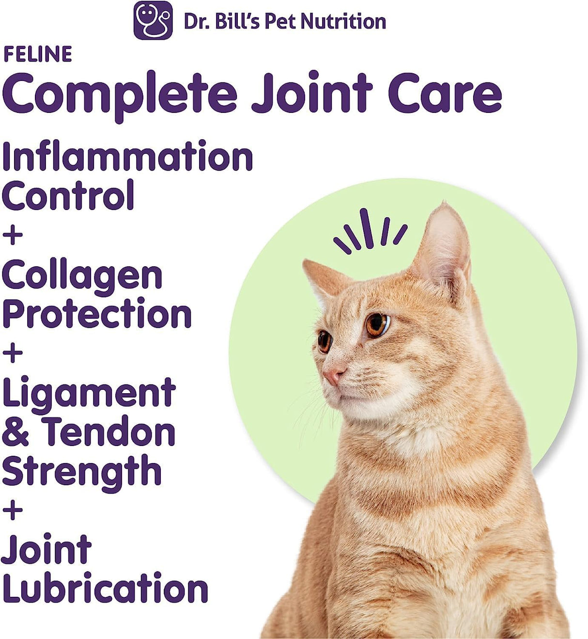 Dr. Bill’s Feline Complete Joint Care 85Gr.