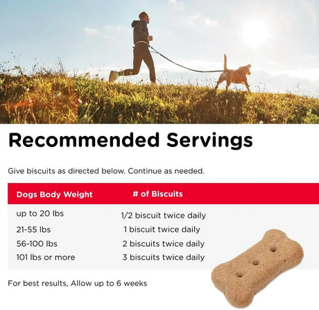 NUTRI-VET - Nutri-Vet Hip & Joint Biscuits for Dogs 454Gr. - The Red Vitamin MX - Cuidado De Cadera Y Articulaciones Para Perros - {{ shop.shopifyCountryName }}