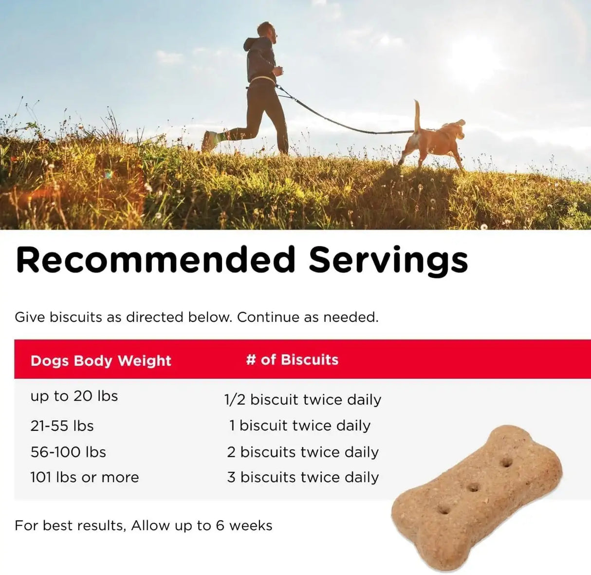 NUTRI-VET - Nutri-Vet Hip & Joint Biscuits for Dogs 454Gr. 2 Pack - The Red Vitamin MX - Cuidado De Cadera Y Articulaciones Para Perros - {{ shop.shopifyCountryName }}