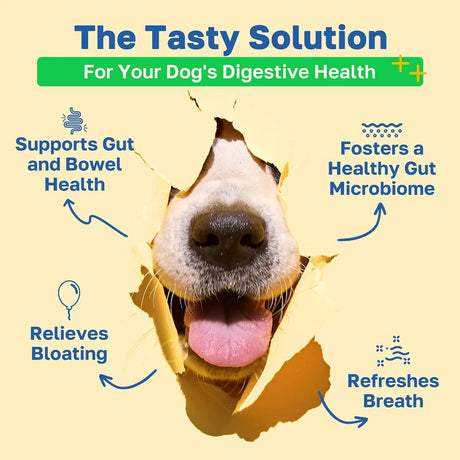 HAPPY PAWS - Happy Paws Probiotic Gut Health Support for Dogs 100 Masticables 2 Pack - The Red Vitamin MX - Probióticos Para Perros - {{ shop.shopifyCountryName }}