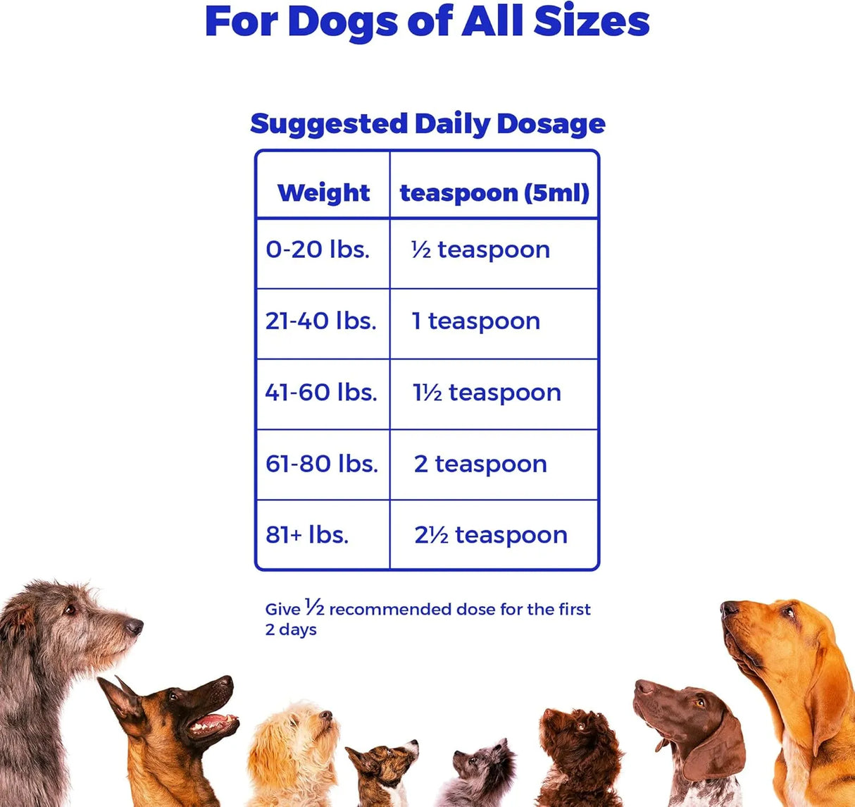 CLUB HACHIKO - Club Hachiko Salmon & Pollock Oil for Dogs & Cats 16 Fl.Oz. - The Red Vitamin MX - Aceite De Pescado Para Perros - {{ shop.shopifyCountryName }}