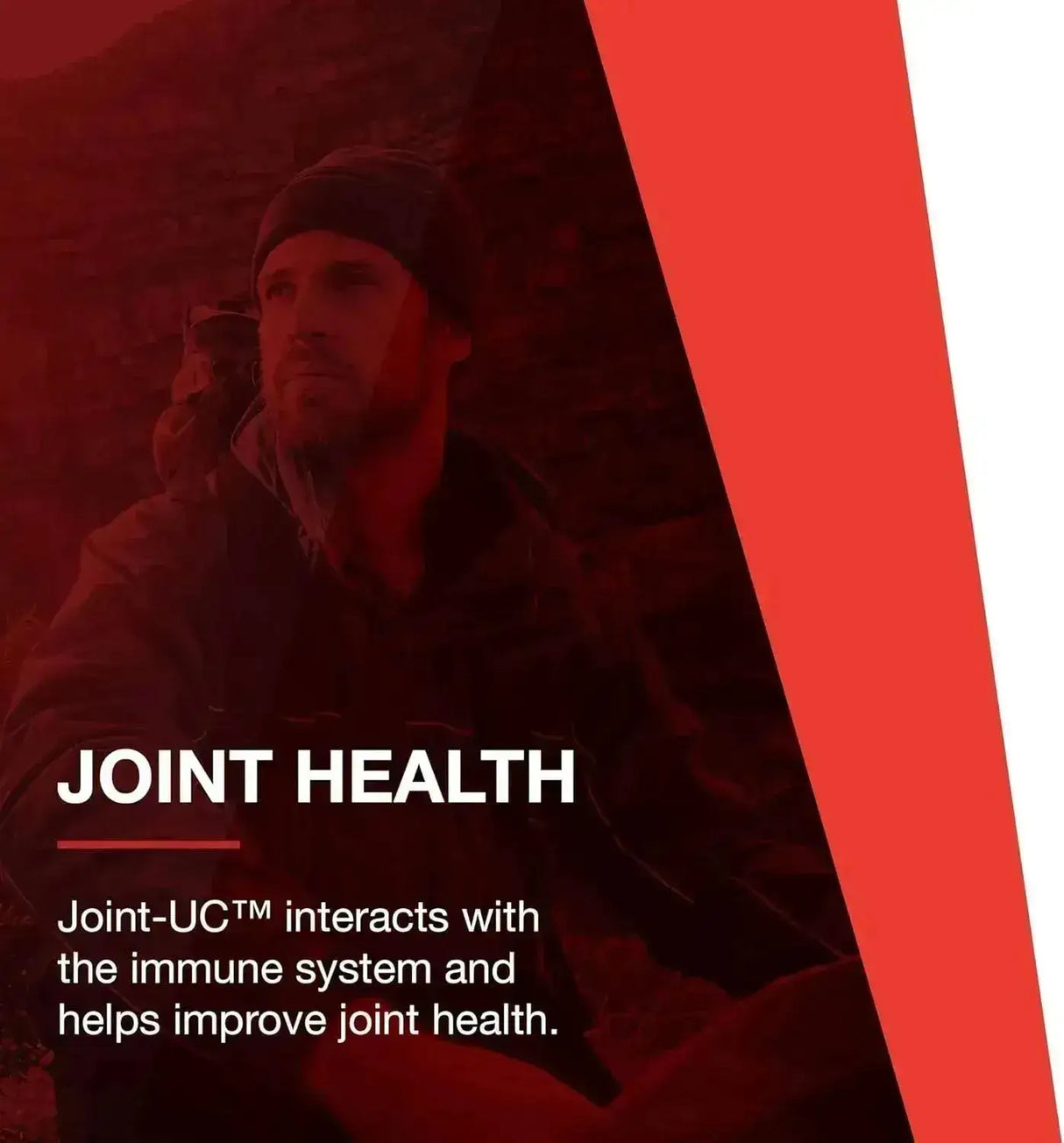 PROTOCOL FOR LIFE BALANCE - Protocol Joint-UC with Undenatured Type II Collagen 60 Capsulas - The Red Vitamin MX - Suplementos Alimenticios - {{ shop.shopifyCountryName }}