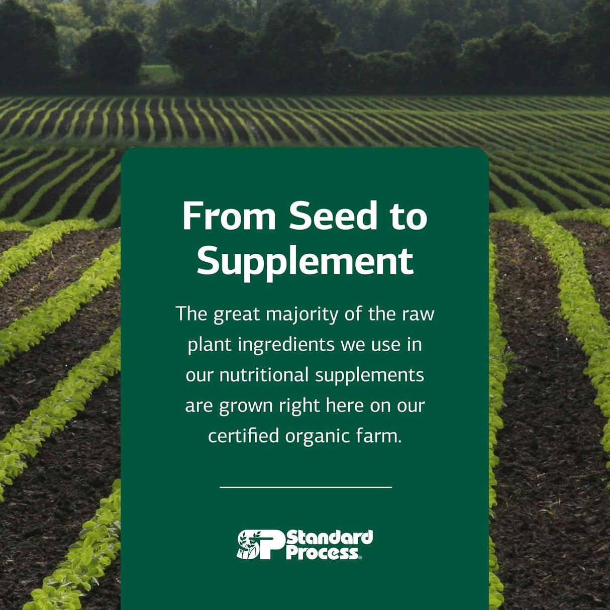 Standard Process Canine Musculoskeletal Support 120Gr.