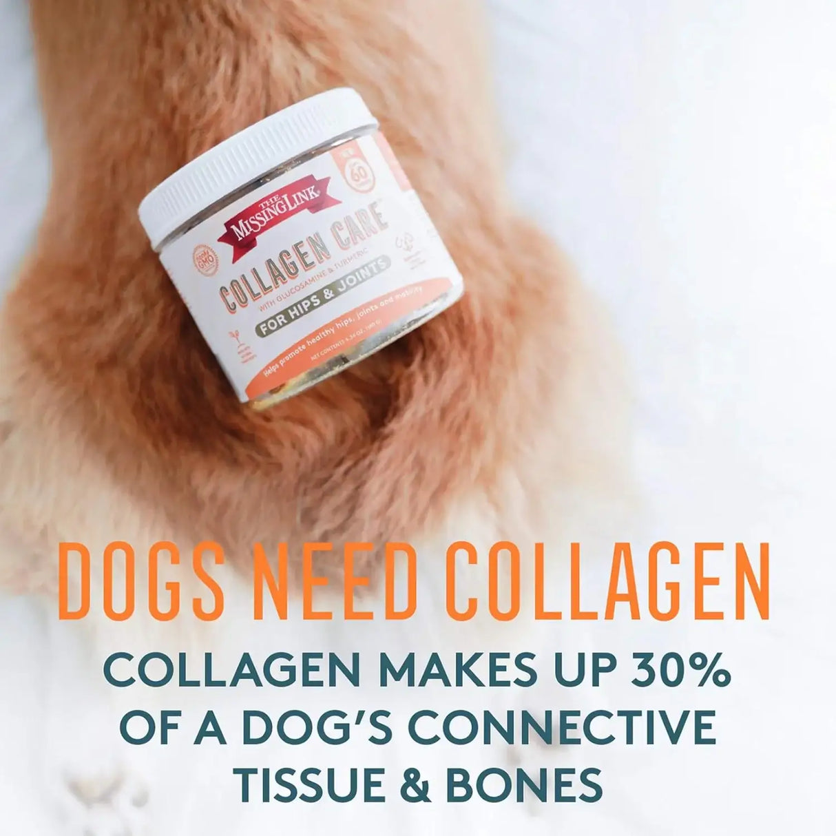 THE MISSING LINK - The Missing Link Collagen Care Hip & Joint Soft Chews 60 Masticables - The Red Vitamin MX - Cuidado De Cadera Y Articulaciones Para Perros - {{ shop.shopifyCountryName }}