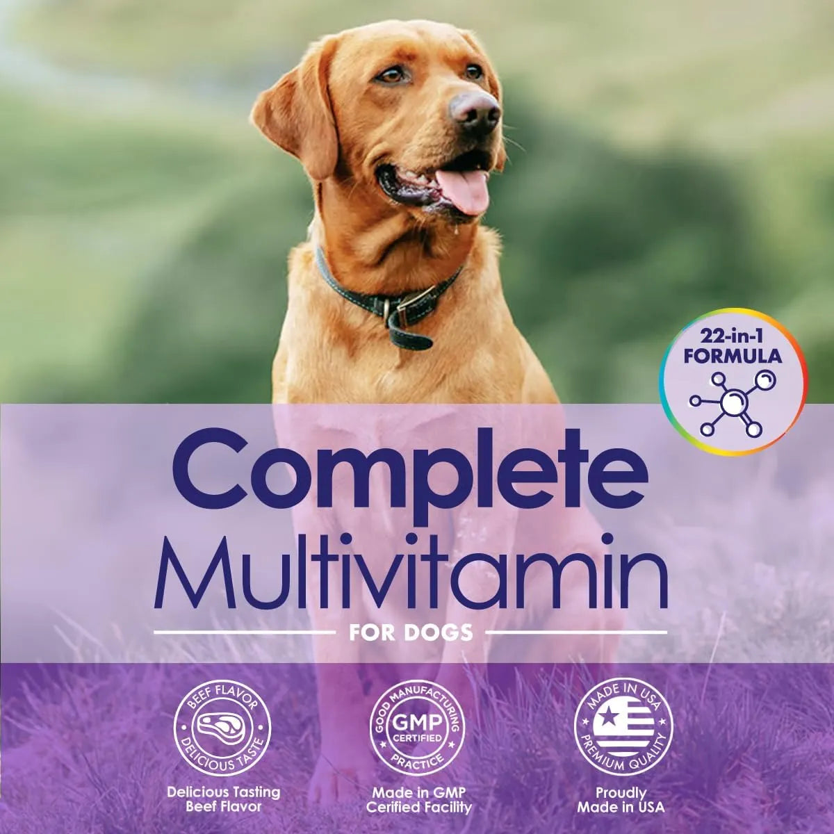 NULIFE - NuLife Natural Pet Health Dog Multivitamin 22-in-1 Support 60 Masticables - The Red Vitamin MX - Multivitamínicos Para Perros - {{ shop.shopifyCountryName }}