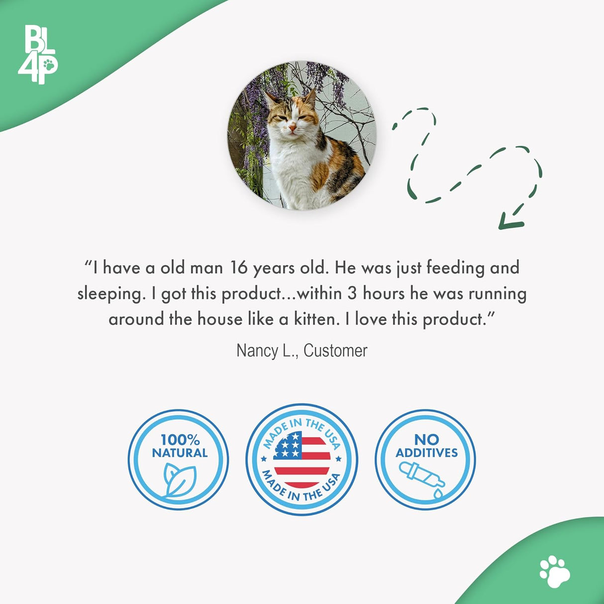 BestLife4Pets Cat Hip and Joint Pain Relief Supplement 400 Tabletas