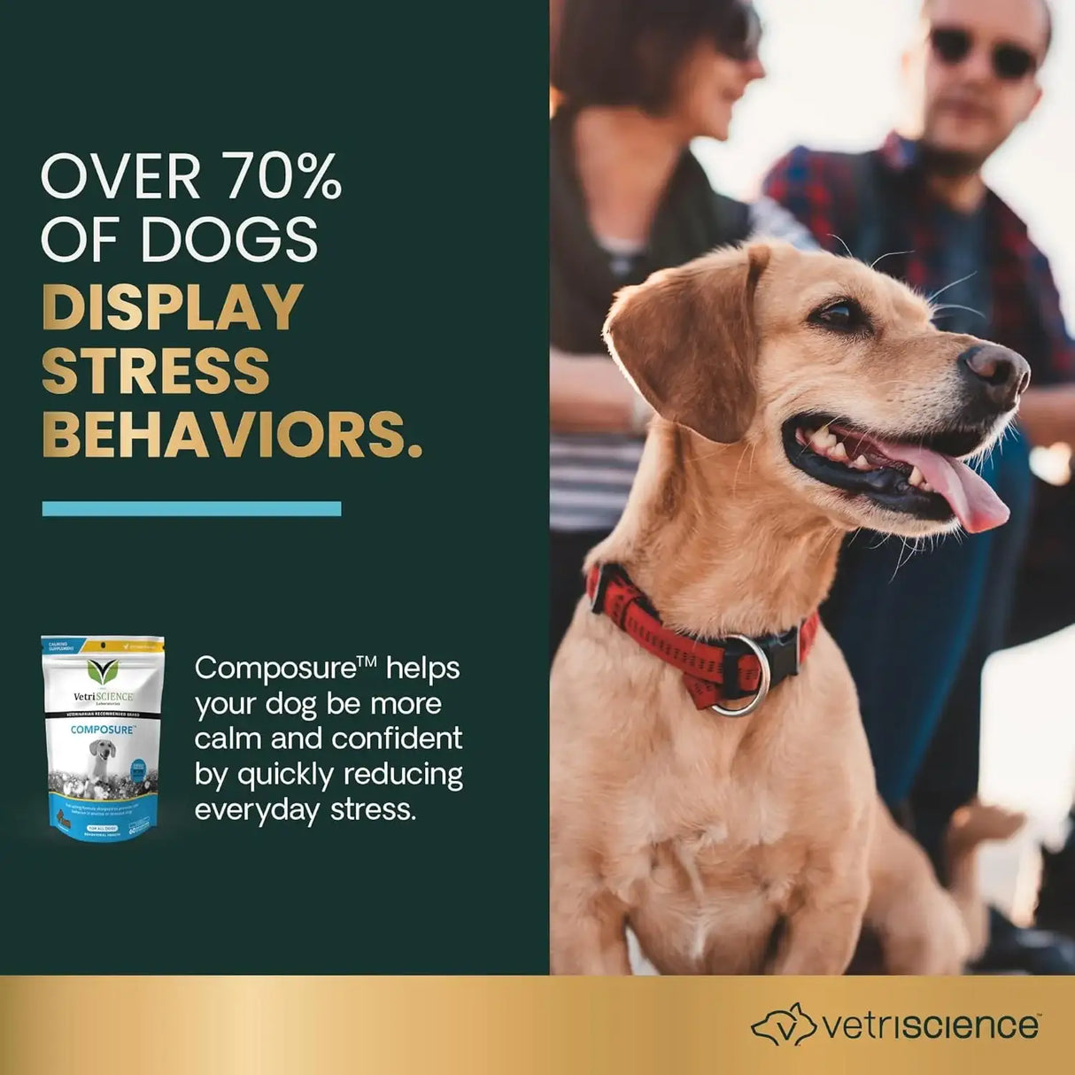 VETRISCIENCE - VetriScience Long Lasting Calm & Confident Calming Chews Bacon 60 Masticables - The Red Vitamin MX - Relajantes Para Perros - {{ shop.shopifyCountryName }}