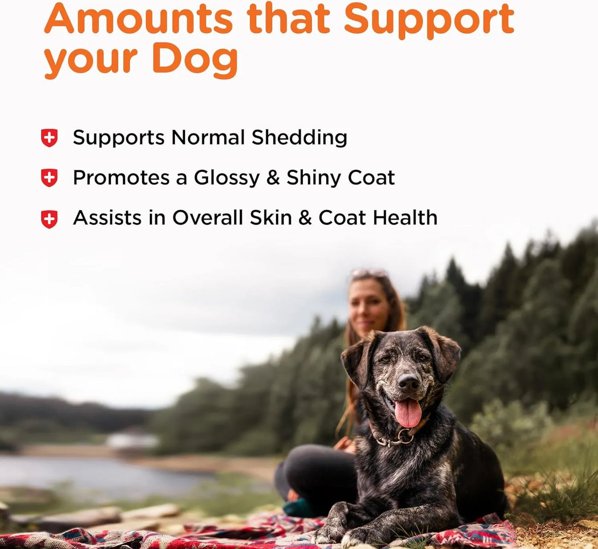 NUTRI-VET - Nutri-Vet Fish Oil Supplement for Dogs 100 Capsulas Blandas - The Red Vitamin MX - Aceite De Pescado Para Perros - {{ shop.shopifyCountryName }}