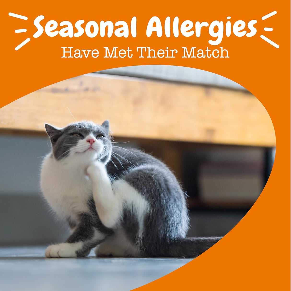 Zesty Paws Allergy & Immune Mousse Chicken 14 Paquetes