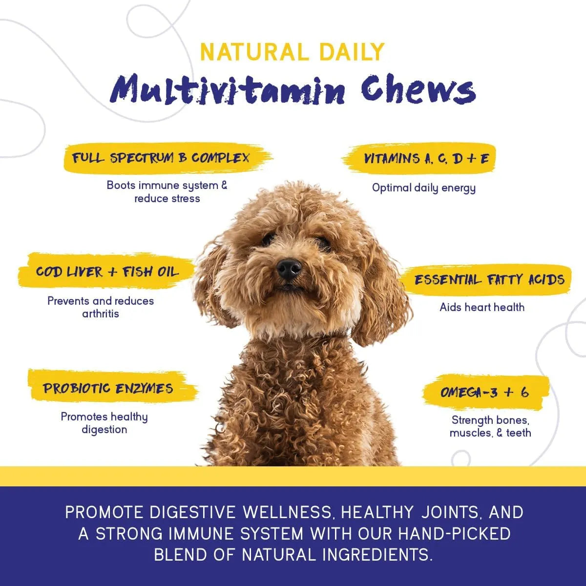 PUPGRADE - PupGrade Daily Multivitamin for Dogs 30 Masticables - The Red Vitamin MX - Multivitamínicos Para Perros - {{ shop.shopifyCountryName }}