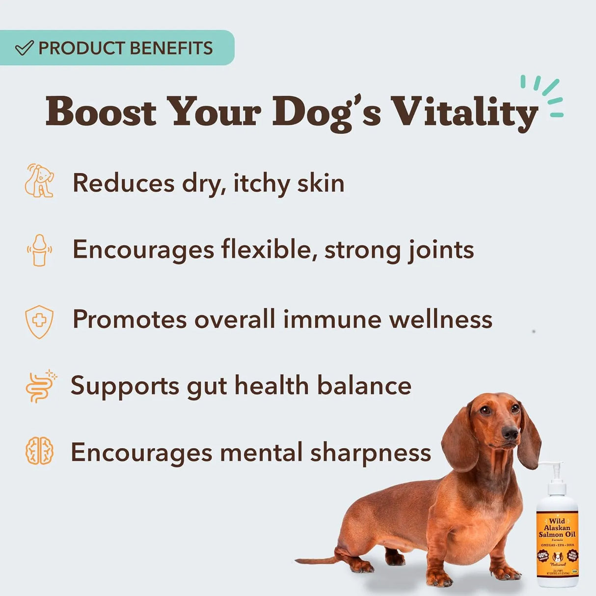 NATURAL DOG - Natural Dog Company Wild Alaskan Salmon Oil Formula with Omega 3 16 F.Oz. - The Red Vitamin MX - Aceite De Pescado Para Perros - {{ shop.shopifyCountryName }}