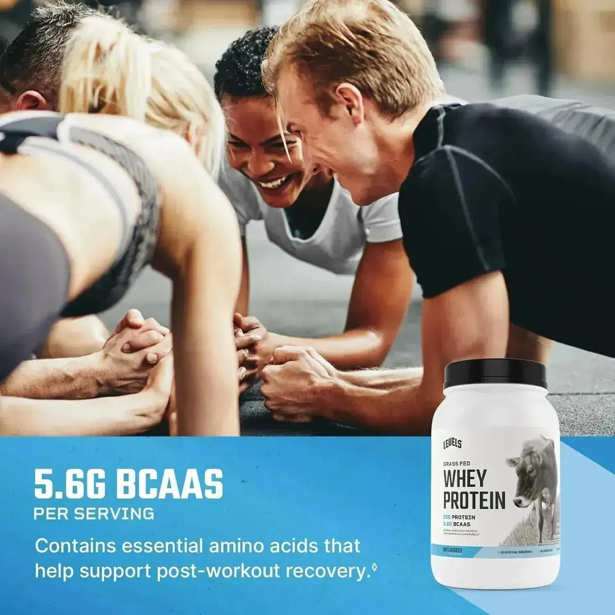 LEVELS - Levels Grass Fed Whey Protein Powder Unflavored 2Lb. - The Red Vitamin MX - Suplementos Alimenticios - {{ shop.shopifyCountryName }}