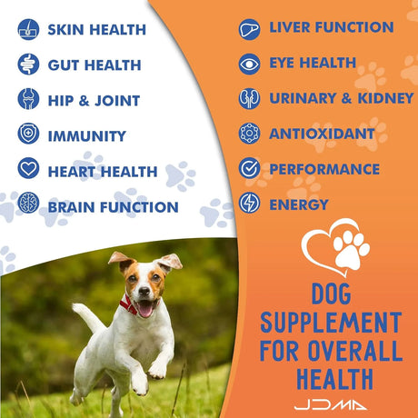 ZENBITES - ZenBites 12-in-1 Dog Vitamins & Probiotics 120 Masticables - The Red Vitamin MX - Multivitamínicos Para Perros - {{ shop.shopifyCountryName }}