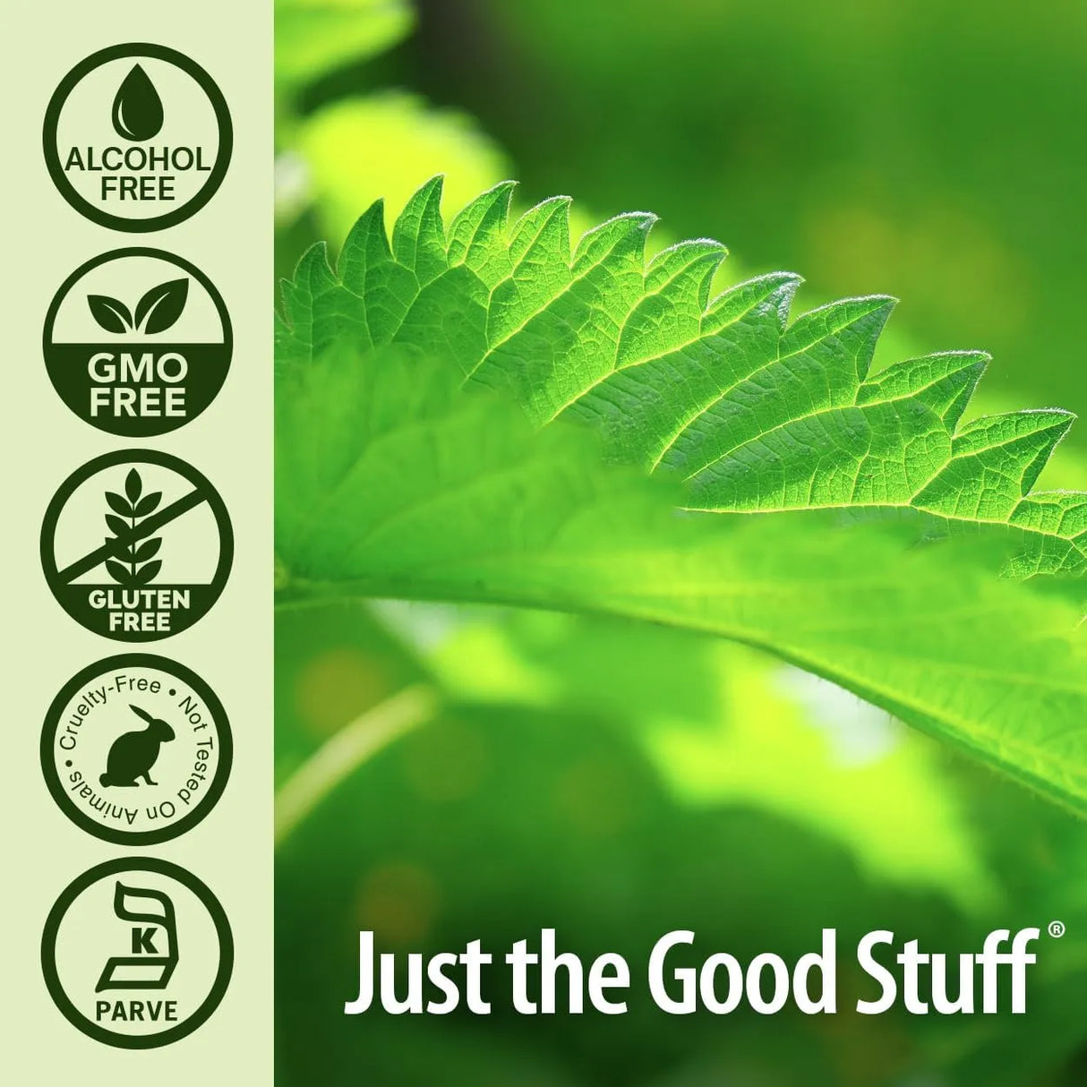 NATURE´S ANSWER - Nature's Answer Nettle Extract 1 Fl.Oz. - The Red Vitamin MX - Suplementos Alimenticios - {{ shop.shopifyCountryName }}