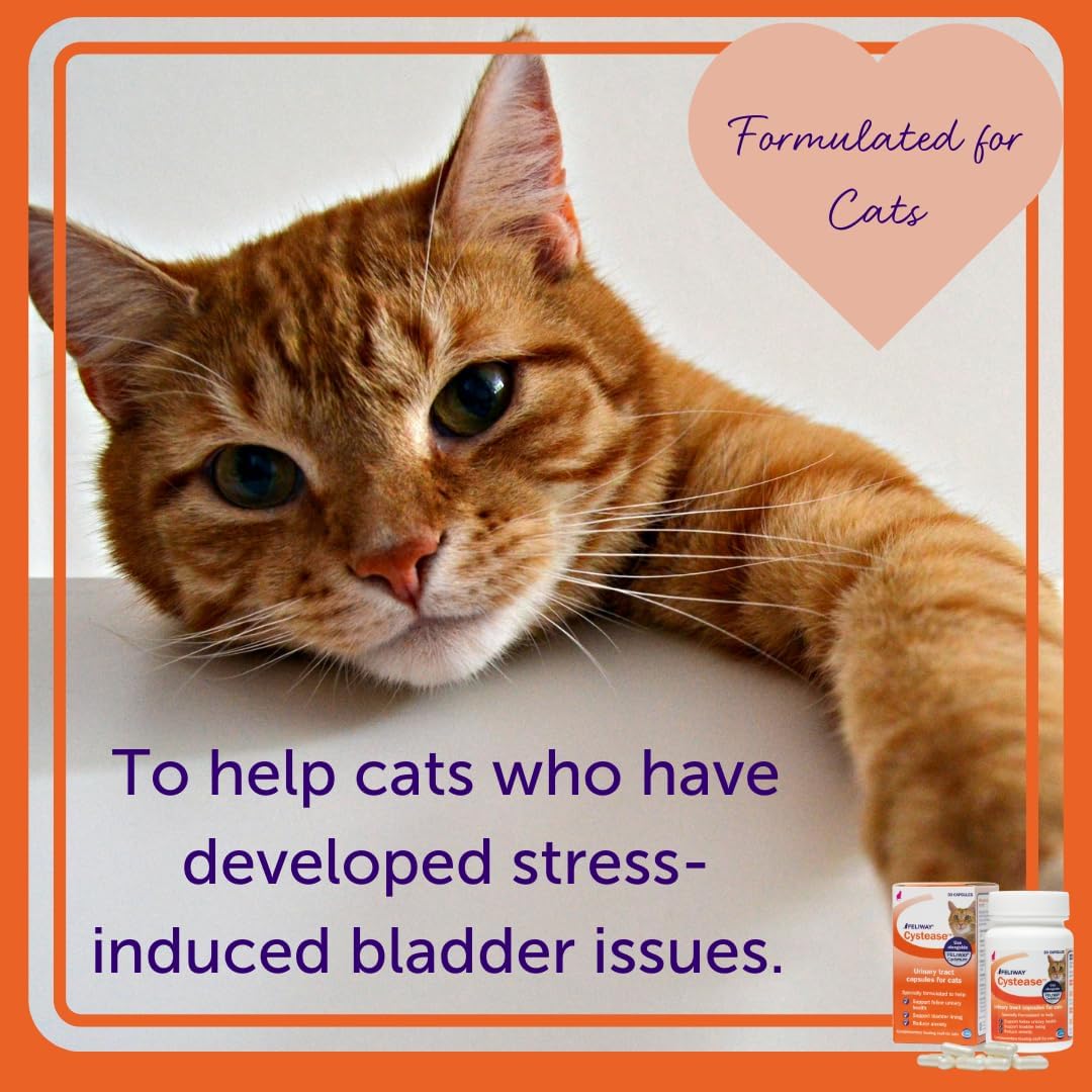 FELIWAY Cystease Advanced Urinary Tract Support for Cats 30 Tabletas