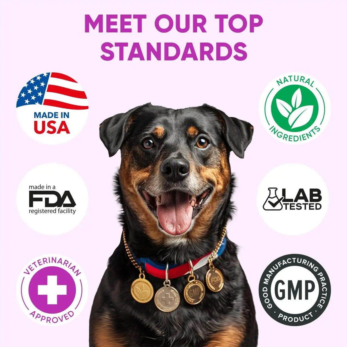 PAWZITIVE PETS - Pawzitive Pets Dog Allergy Relief Chews for Itchy Skin 120 Masticables - The Red Vitamin MX - Remedios Para La Picazón De Perros - {{ shop.shopifyCountryName }}