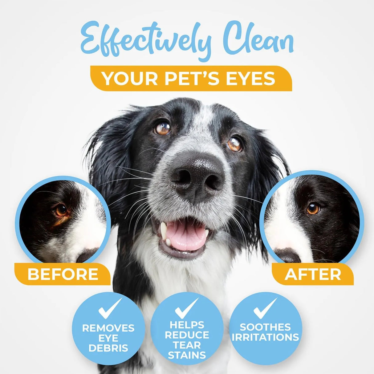 VETWIPE - VetWipe Dog Eye Wipes 100 Toallitas - The Red Vitamin MX - Cuidado De Los Ojos De Los Perros - {{ shop.shopifyCountryName }}