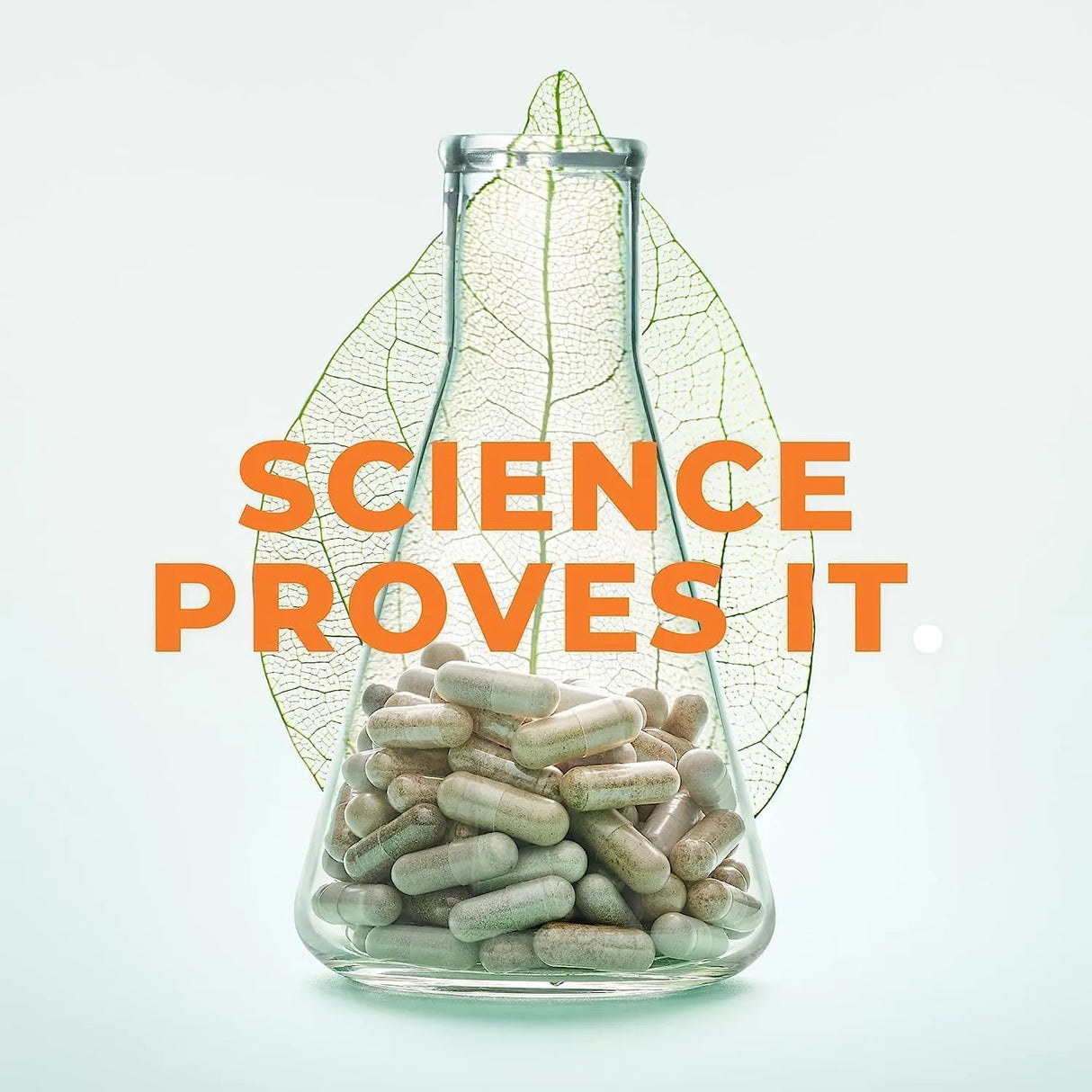 LIFE SEASONS - LifeSeasons Prostate Support 60 Capsulas Blandas 2 Pack - The Red Vitamin MX - Suplementos Alimenticios - {{ shop.shopifyCountryName }}