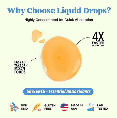 DROPS OF NATURE - Drops Of Nature Green Tea Liquid Drops 2500Mg. 2 Fl.Oz. - The Red Vitamin MX - Suplementos Alimenticios - {{ shop.shopifyCountryName }}