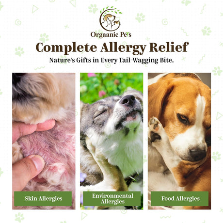 ORGAANIC PET'S LLC - Orgaanic Pet's LLC Herbal Dog Allergy Relief with SEA KELP 60 Masticables - The Red Vitamin MX - Remedios Para La Picazón De Perros - {{ shop.shopifyCountryName }}
