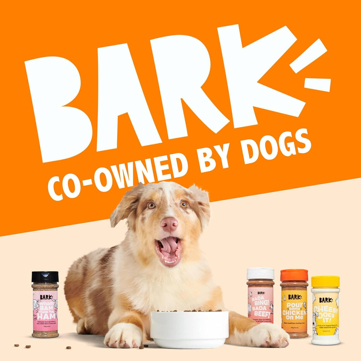 Barkbox Pumpkin Spice Digestive Food Topper Broth Powder 173Gr.