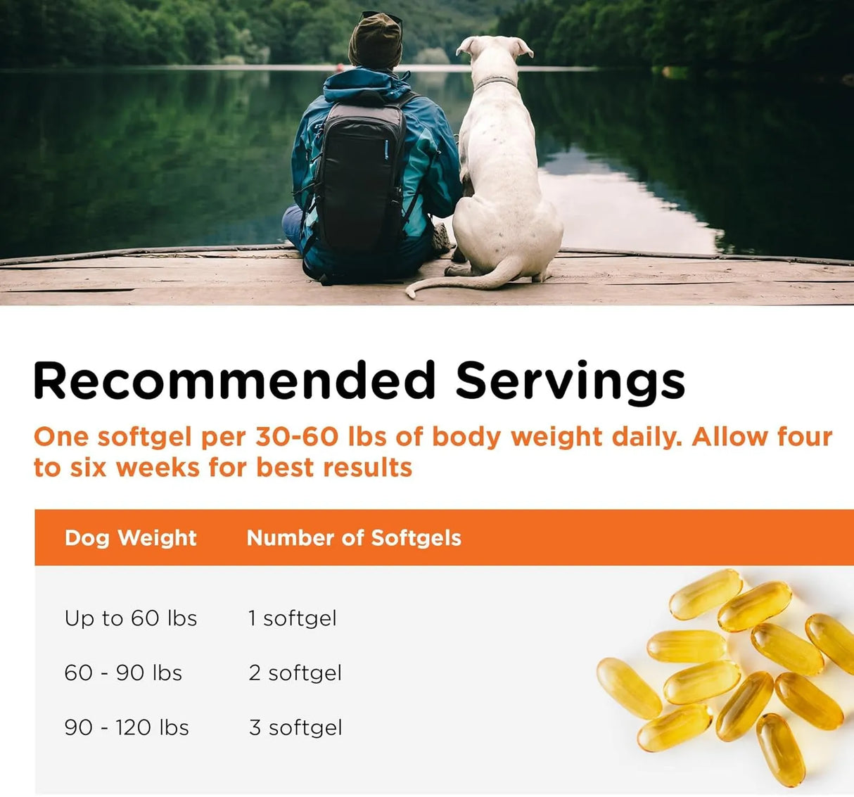 NUTRI-VET - Nutri-Vet Fish Oil Supplement for Dogs 100 Capsulas Blandas - The Red Vitamin MX - Aceite De Pescado Para Perros - {{ shop.shopifyCountryName }}