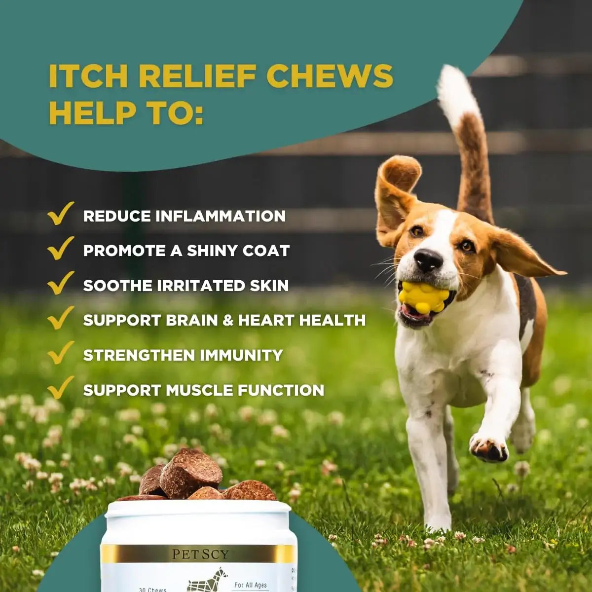 PETSCY - PetScy Dog Itch Relief Chews 30 Masticables - The Red Vitamin MX - Remedios Para La Picazón De Perros - {{ shop.shopifyCountryName }}