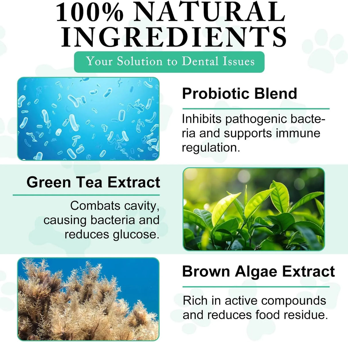 ARMOYA - ARMOYA Dog Dental Powder 100Gr. 2 Pack - The Red Vitamin MX - Cuidado Dental Para Perros - {{ shop.shopifyCountryName }}