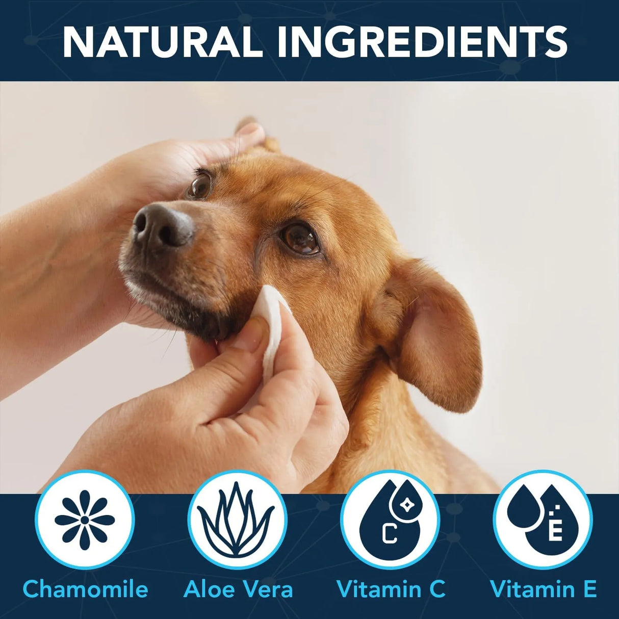 NOVEHA - NOVEHA Dog Eye Wipes Unscented 100 Toallitas - The Red Vitamin MX - Cuidado De Los Ojos De Los Perros - {{ shop.shopifyCountryName }}