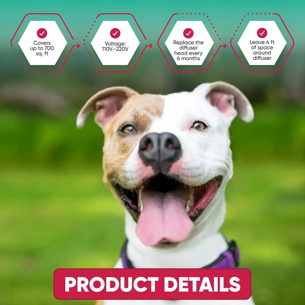TRIOAK - TriOak Pheromone Diffuser for Dogs Advanced Dog Calming Diffuser 2 Pack - The Red Vitamin MX - Relajantes Para Perros - {{ shop.shopifyCountryName }}