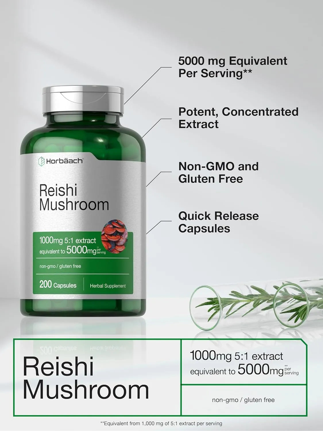 HORBAACH - Horbaach Reishi Mushroom 200 Capsulas - The Red Vitamin MX - Suplementos Alimenticios - {{ shop.shopifyCountryName }}