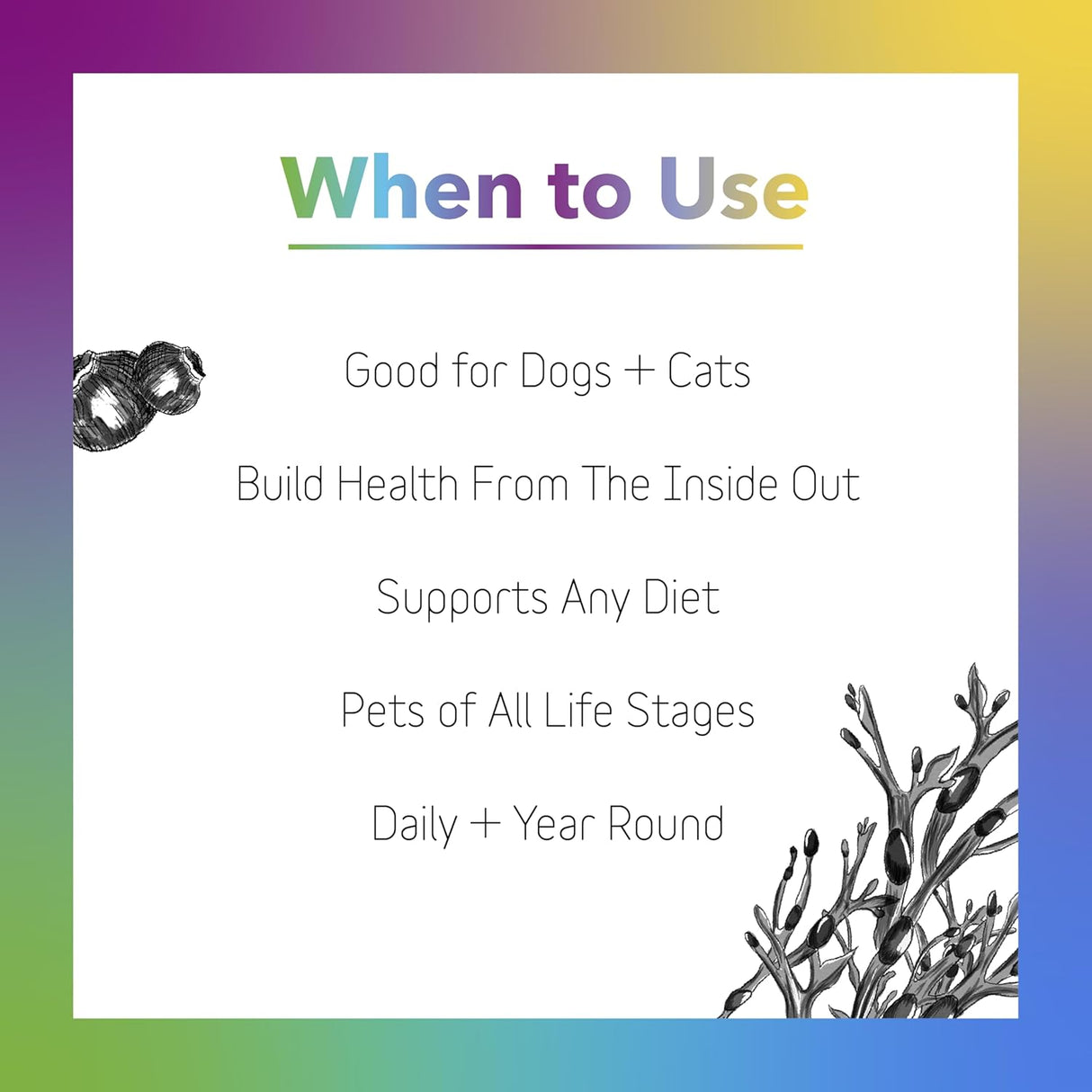 INCLOVER - InClover Daily Multi Cat & Dog Vitamin 100Gr. - The Red Vitamin MX - Suplementos Herbales Para Perros - {{ shop.shopifyCountryName }}