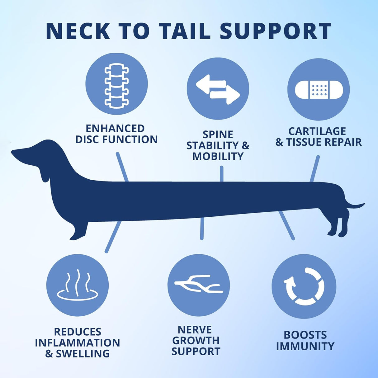 Under The Weather Pet Disc & Spine Health Chews for Dogs 60 Masticables